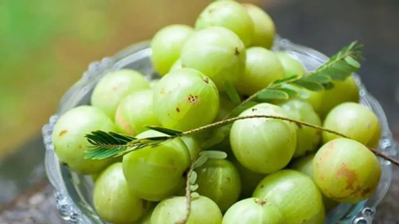 ദിവസവും ഡയറ്റില് ഉള്പ്പെടുത്താം നെല്ലിക്ക; അറിയാം ഈ ഗുണങ്ങള്... ദിവസവും ഡയറ്റില് ഉള്പ്പെടുത്താം നെല്ലിക്ക; അറിയാം ഈ ഗുണങ്ങള്...