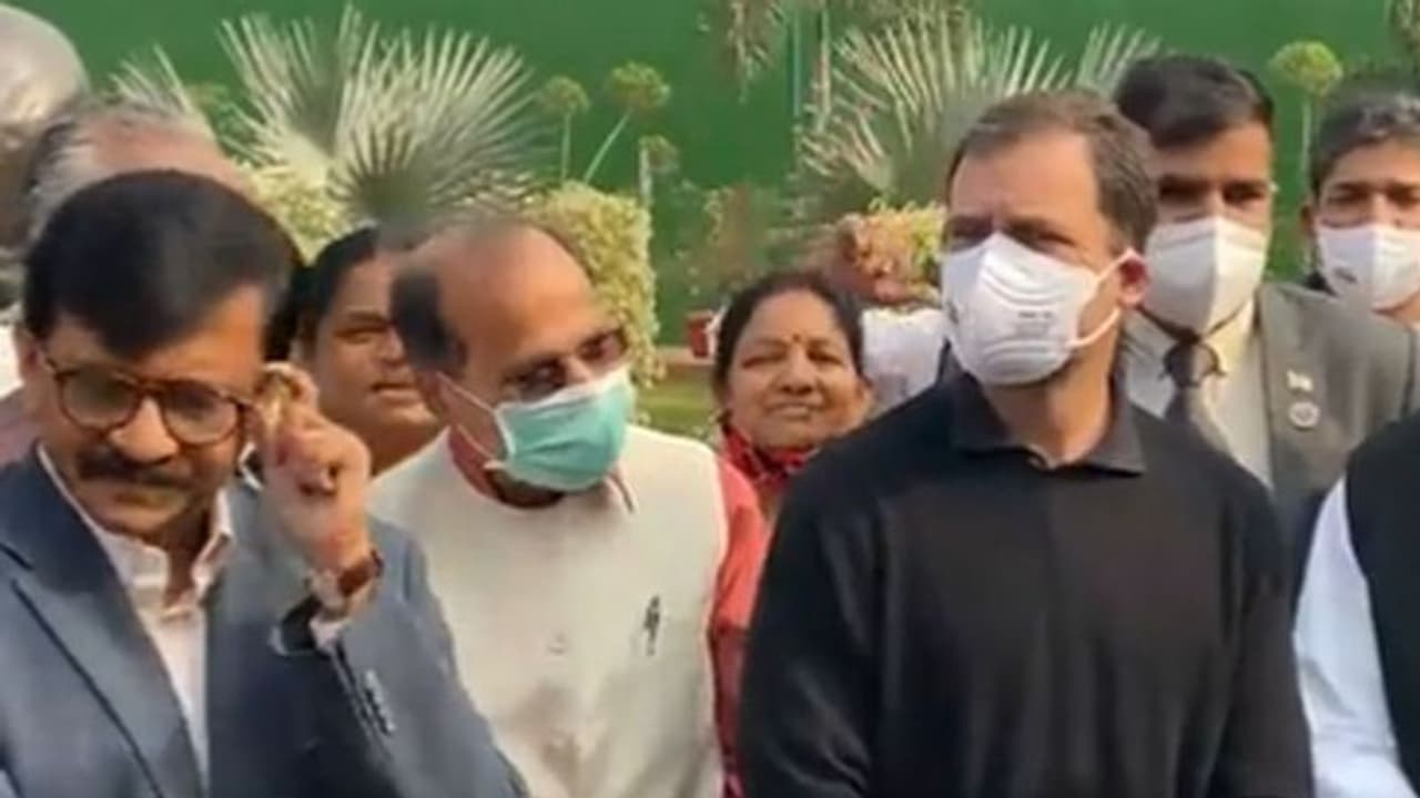 Parliament Winter Session: 12MPs के निलंबन के विरोध में काले कपड़े पहनकर मार्च में शामिल हुए राहुल गांधी Parliament Winter Session: 12MPs के निलंबन के विरोध में काले कपड़े पहनकर मार्च में शामिल हुए राहुल गांधी