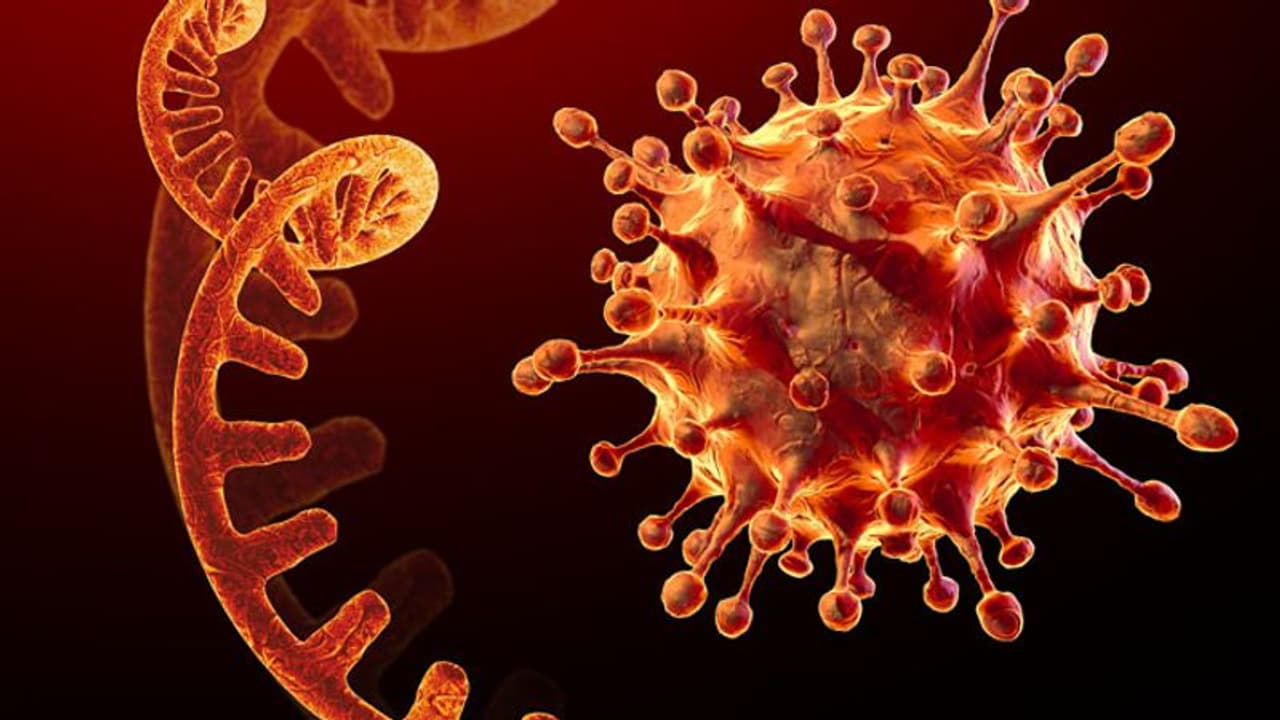 Omicron variant : ಬೆಂಗಳೂರಿನ ಒಮಿಕ್ರೋನ್‌ ಸೋಂಕಿತ ಗುಣಮುಖ