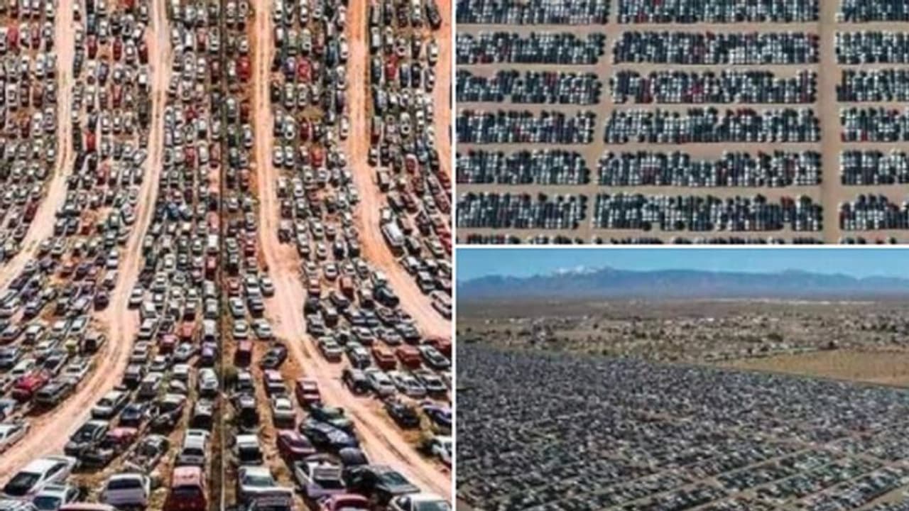 Fact Check: क्या ये जापान में गाड़ियों का कब्रिस्तान है, जानें वायरल तस्वीर का सच Fact Check: क्या ये जापान में गाड़ियों का कब्रिस्तान है, जानें वायरल तस्वीर का सच