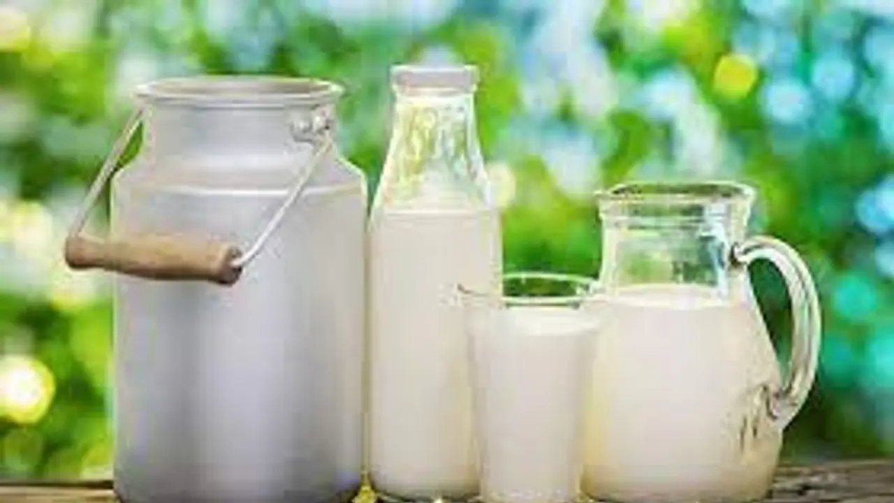 যেসব শিশু দুধ পান করে না তাদের উচ্চতা বাড়াতে এই বিশেষ খাবার খাওয়ান যেসব শিশু দুধ পান করে না তাদের উচ্চতা বাড়াতে এই বিশেষ খাবার খাওয়ান