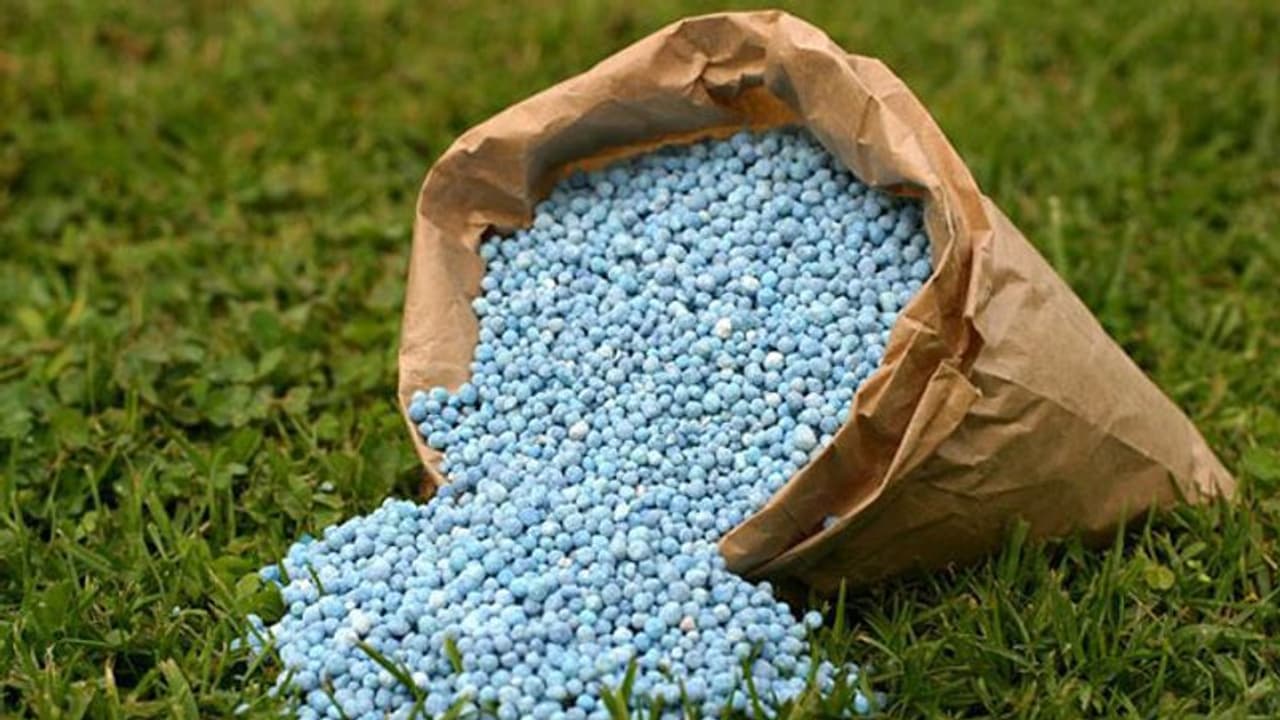 ಎಲ್ಲಾ ರಸಗೊಬ್ಬರಕ್ಕೂ ಒಂದೇ ಬ್ರ್ಯಾಂಡ್‌: ನೀತಿ ಅ.2ರಿಂದ ಜಾರಿ: ಕಾಂಗ್ರೆಸ್‌ ಟೀಕೆ