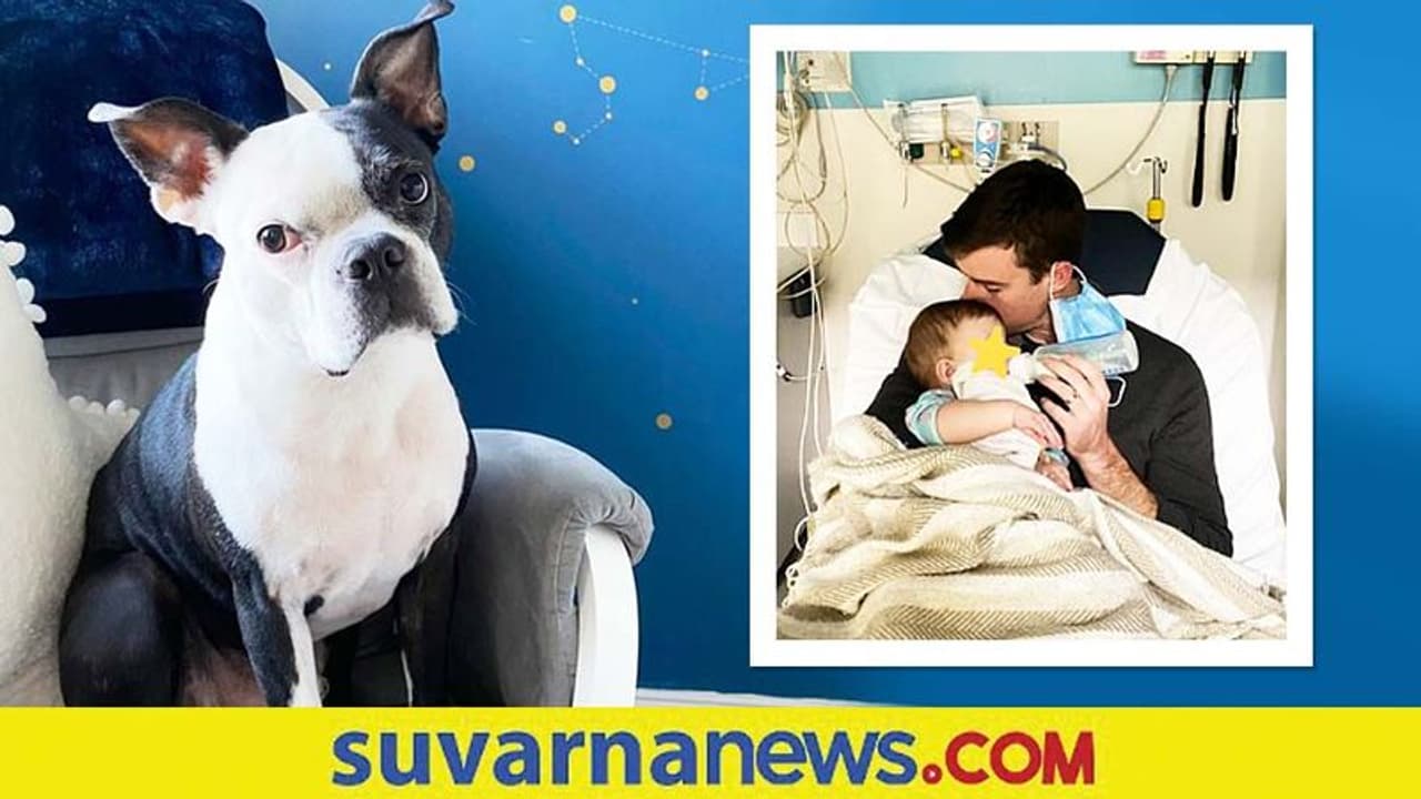ಶ್ವಾನದಿಂದ ಗೊತ್ತಾಯ್ತು ನಿಂತ ಶ್ವಾಸ... ಮಗುವಿನ ಜೀವ ಉಳಿಸಿದ Pet Dog