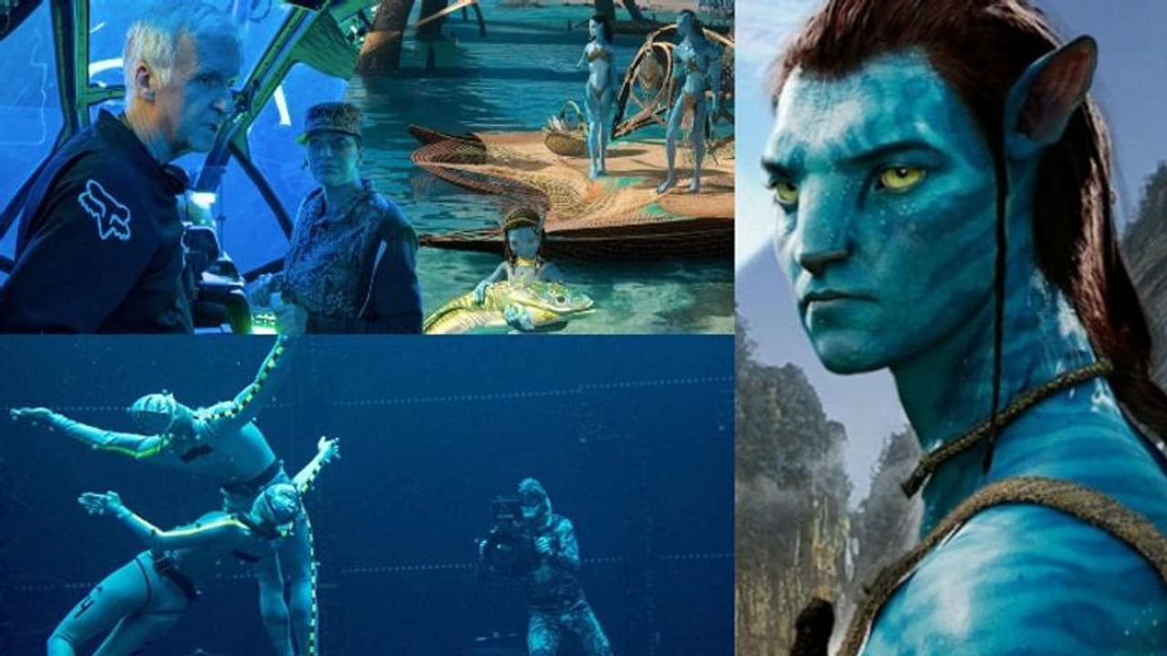 Avatar 2 Location Stills : കടലിനടിയിലെ വിസ്മയ ലോകം തീർക്കാൻ ജയിംസ് കാമറൂണ്, 'അവതാർ 2' അടുത്ത വർഷം Avatar 2 Location Stills : കടലിനടിയിലെ വിസ്മയ ലോകം തീർക്കാൻ ജയിംസ് കാമറൂണ്, 'അവതാർ 2' അടുത്ത വർഷം