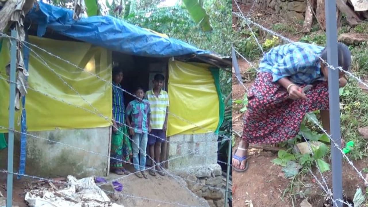 സഞ്ചാര സ്വാതന്ത്ര്യം നിഷേധിച്ച് നെടുങ്കണ്ടം സർക്കാർ പോളിടെക്നിക്; വീട്ടിലേക്ക് പോകാൻ മുള്ളുവേലി താണ്ടണം സഞ്ചാര സ്വാതന്ത്ര്യം നിഷേധിച്ച് നെടുങ്കണ്ടം സർക്കാർ പോളിടെക്നിക്; വീട്ടിലേക്ക് പോകാൻ മുള്ളുവേലി താണ്ടണം