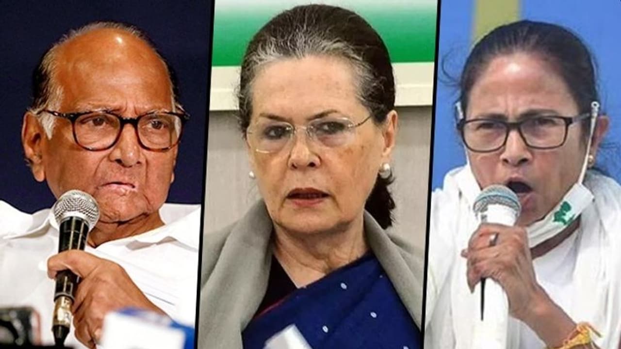 Goa Election 2022 Exclusive: 'Congress cheated NCP; only 'Didi' can fight the BJP' Goa Election 2022 Exclusive: 'Congress cheated NCP; only 'Didi' can fight the BJP'