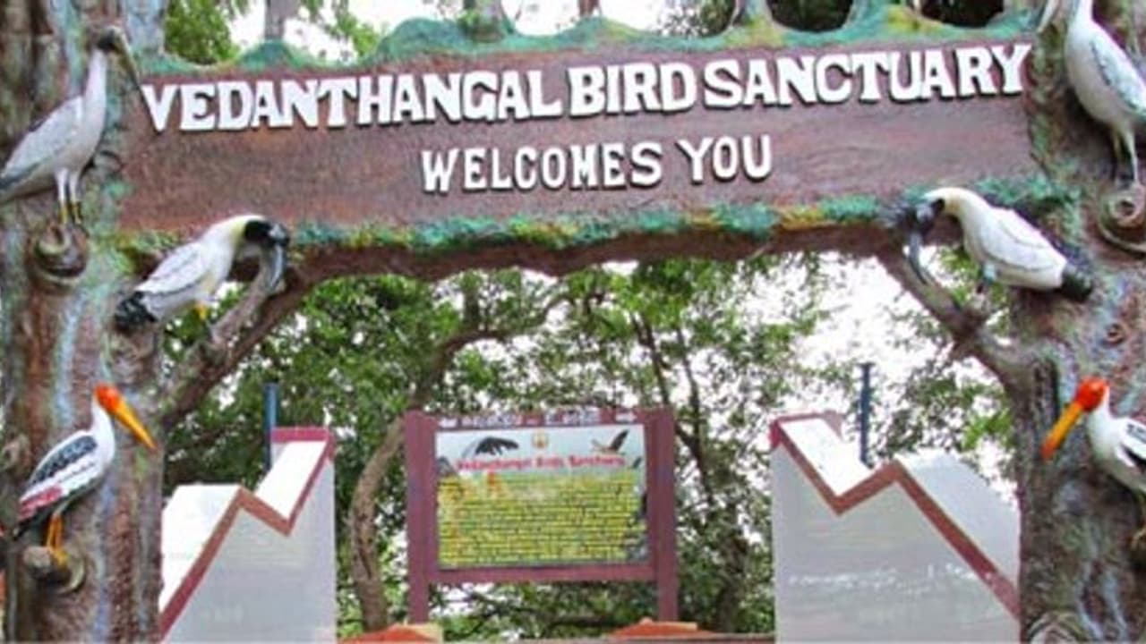 Vedanthangal bird sanctuary: வேடந்தாங்கல் சரணாலயம்..அறிவிப்பை திரும்ப பெற்ற தமிழக அரசு.. Vedanthangal bird sanctuary: வேடந்தாங்கல் சரணாலயம்..அறிவிப்பை திரும்ப பெற்ற தமிழக அரசு..