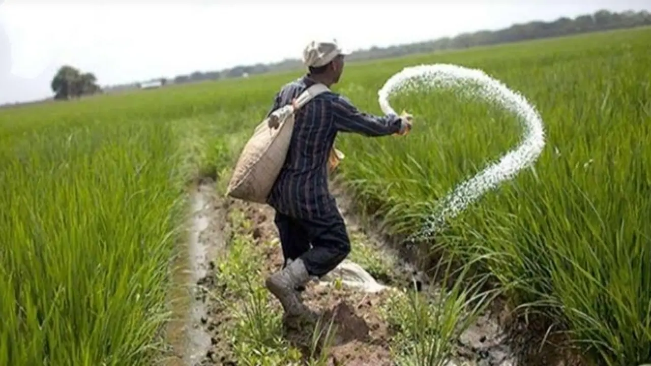 PM Kisan Yojna: खाते में नहीं आया है पीएम किसान योजना का रुपया तो इन नंबरों पर करें शिकायत, तुरंत आएगा पैसा