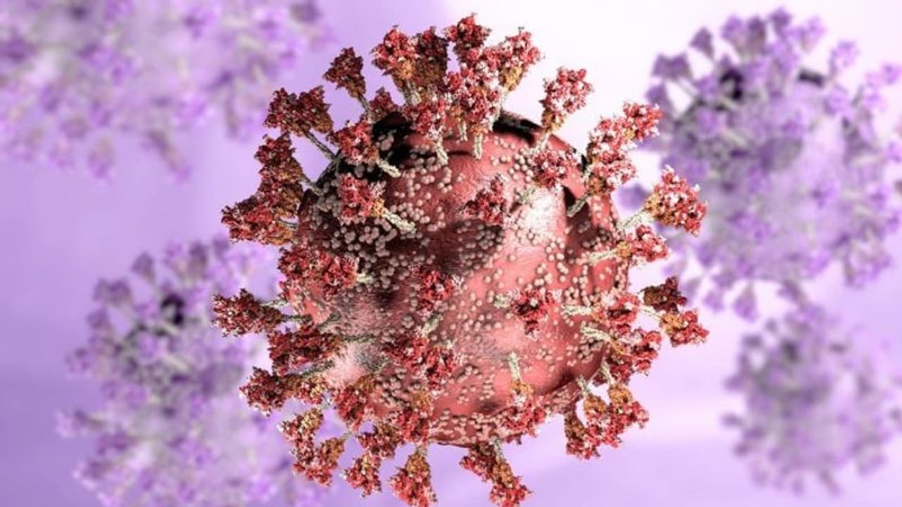 Omicron : തമിഴ്നാട്ടിൽ 11 പേർക്ക് കൂടി ഒമിക്രോൺ സ്ഥിരീകരിച്ചു, മൊത്തം കേസുകൾ 45 ആയി