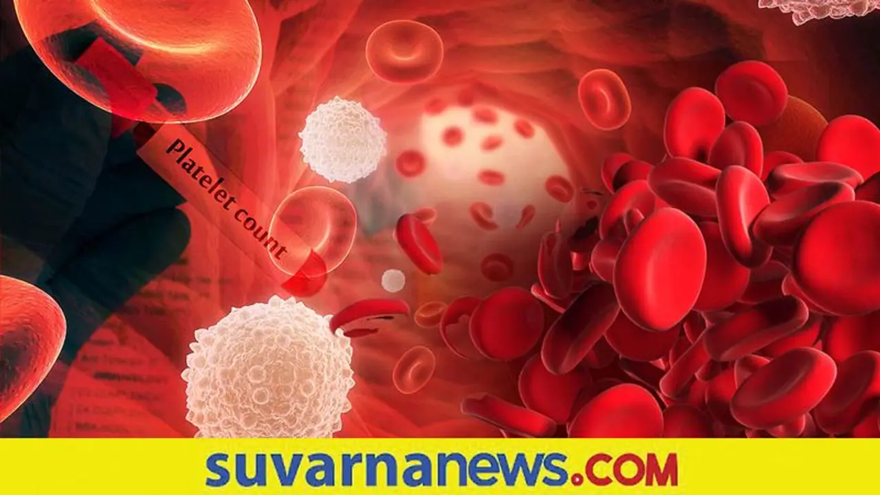 Platelets ಕಡಿಮೆಯಾದರೆ ತುಂಬಾ ಡೇಂಜರ್, ಕಡೆಗಣಿಸಲೇಬೇಡಿ!