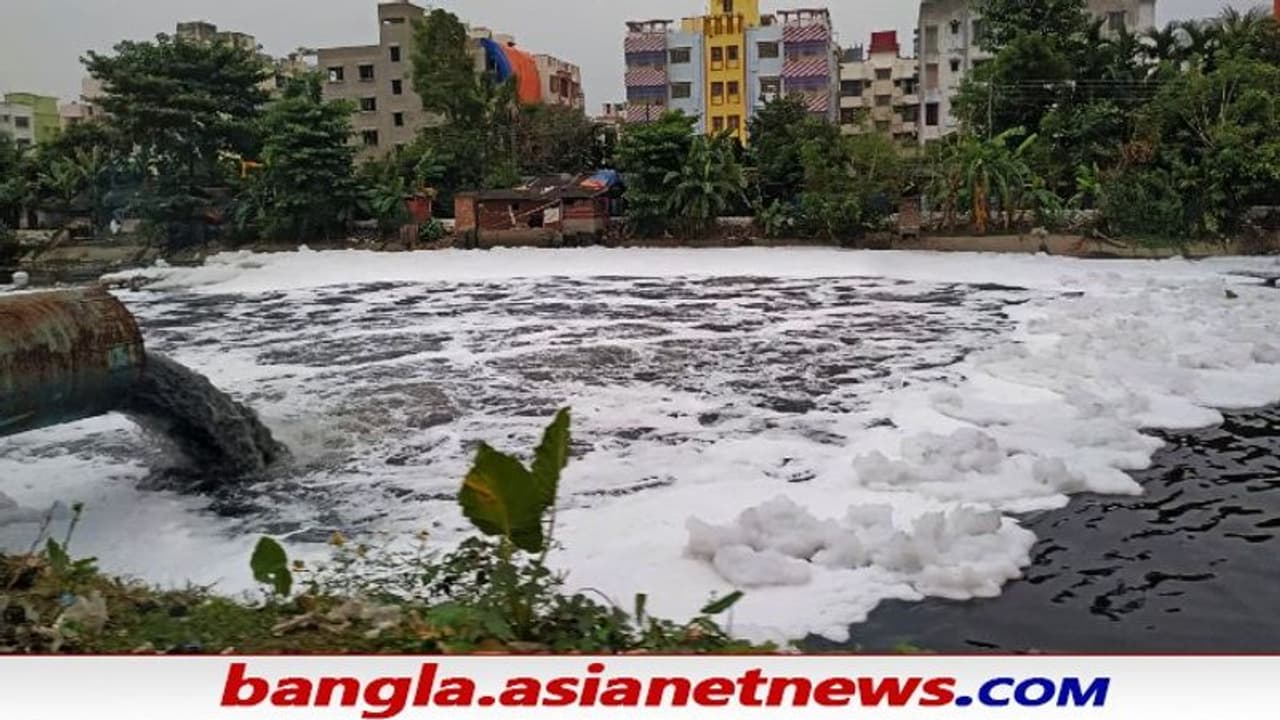Toxic Foam in New Town: এবার নিউটাউনের খালেও বিষাক্ত ফেনা, কতটা ক্ষতিকর জেনে নিন বিস্তারিত Toxic Foam in New Town: এবার নিউটাউনের খালেও বিষাক্ত ফেনা, কতটা ক্ষতিকর জেনে নিন বিস্তারিত