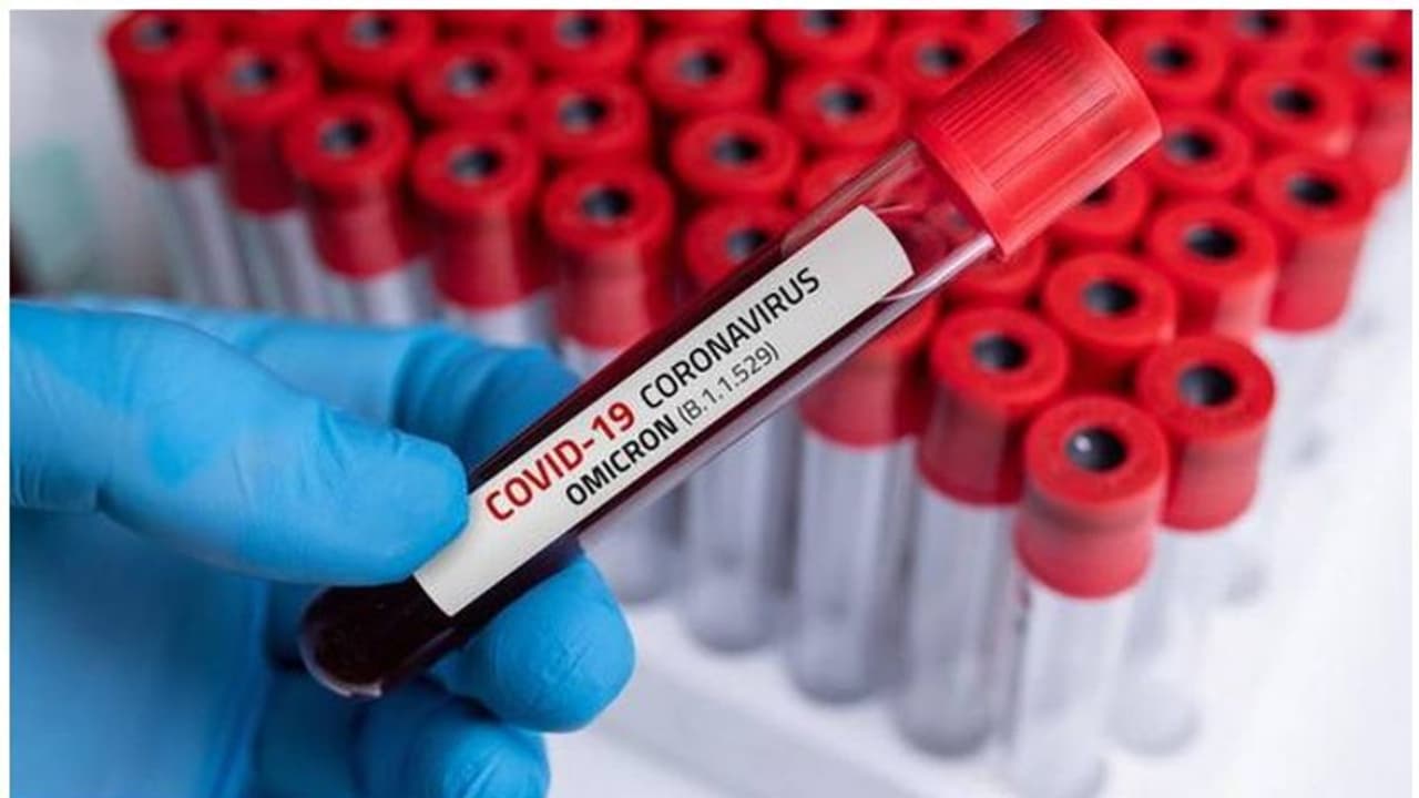 Omicron in India: तेलंगाना में मिले 14 नए संक्रमित, देश में कुल मामले बढ़कर हुए 268 Omicron in India: तेलंगाना में मिले 14 नए संक्रमित, देश में कुल मामले बढ़कर हुए 268