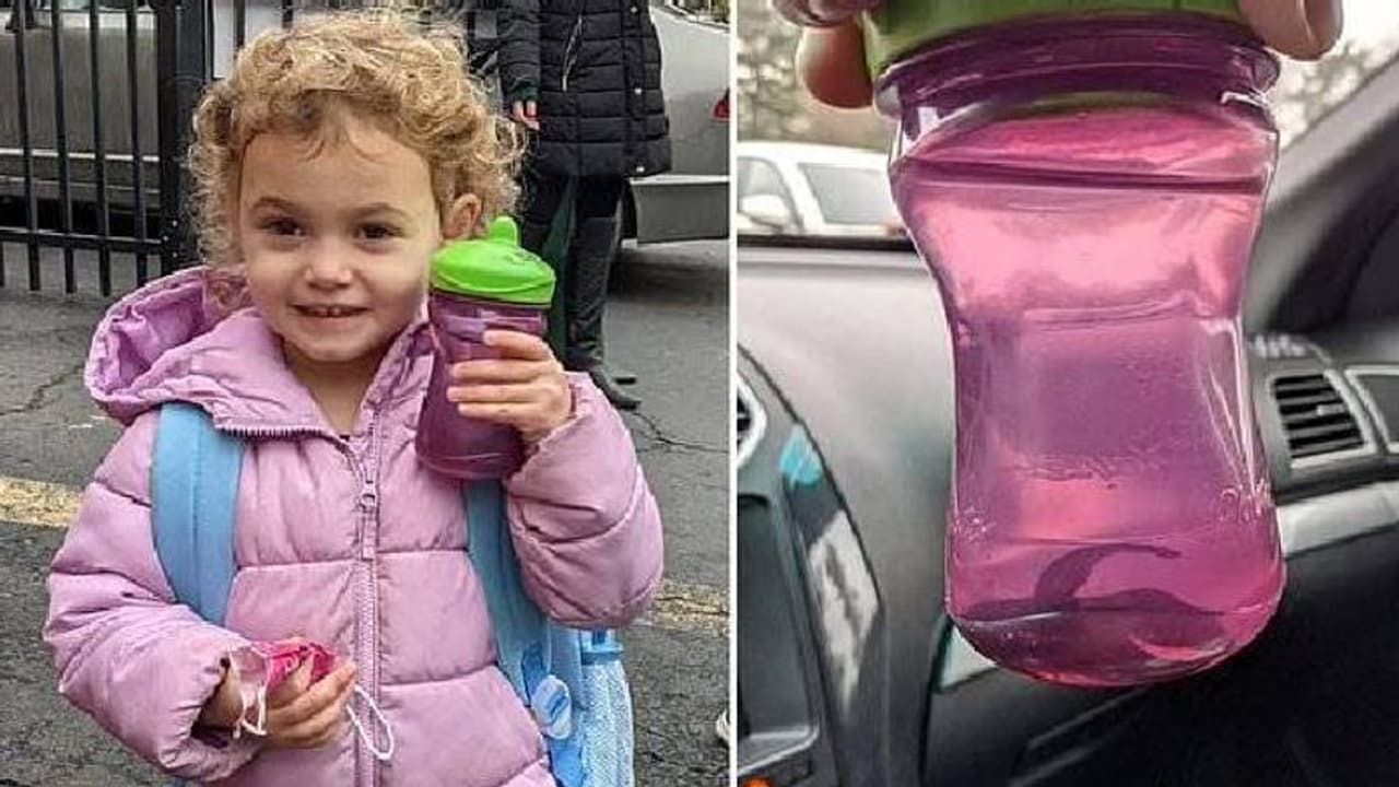 ആരുംകാണാതെ വളർത്തുമത്സ്യത്തെ വാട്ടർബോട്ടിലിലിട്ട് സ്കൂളിൽ കൊണ്ടുപോയി മൂന്നുവയസുകാരി, കയ്യോടെ പിടിച്ച് അധ്യാപിക