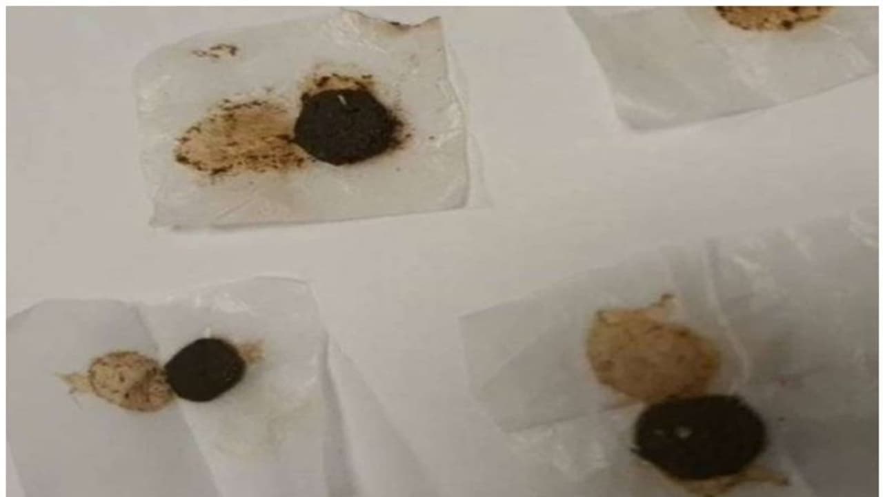 Gulf News : ലഗേജില് കഞ്ചാവുമായെത്തിയ പ്രവാസി വിമാനത്താവളത്തില് പിടിയില് Gulf News : ലഗേജില് കഞ്ചാവുമായെത്തിയ പ്രവാസി വിമാനത്താവളത്തില് പിടിയില്