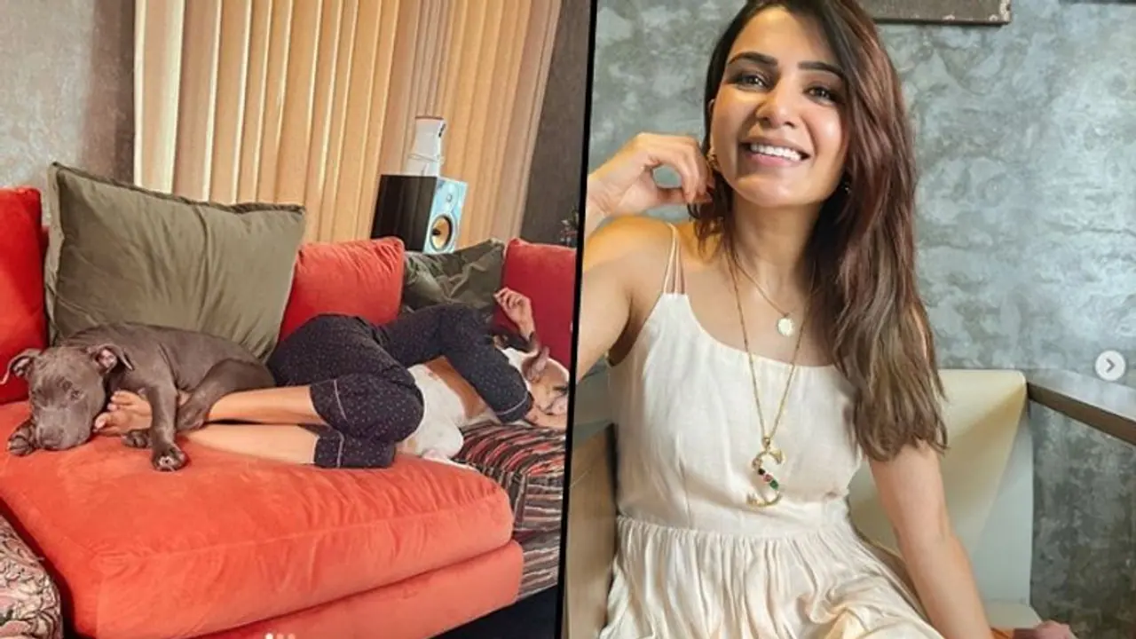 Samantha Ruth Prabhu chills with her pets on Sunday morning [Photos]