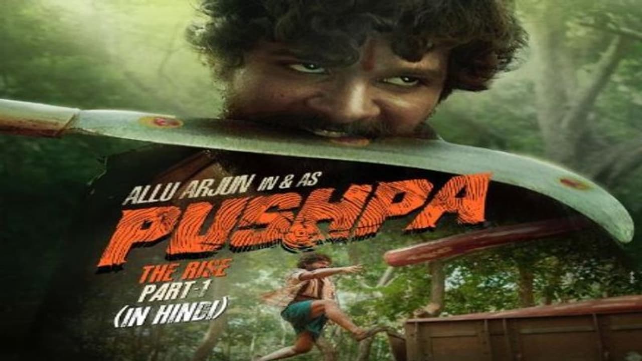 Pushpa:నార్త్ ఇండియాలో షాకిస్తున్న ‘పుష్ప’, బన్నీపై కామెంట్స్ Pushpa:నార్త్ ఇండియాలో షాకిస్తున్న ‘పుష్ప’, బన్నీపై కామెంట్స్