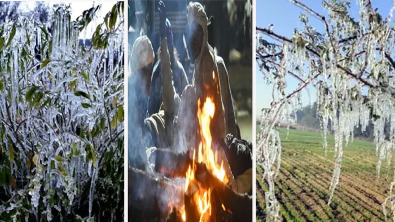 జ‌న‌వరిలో సాధార‌ణం కంటే త‌క్కువ ఉష్ణోగ్ర‌త‌లు.. చ‌లి తీవ్ర‌త అధిక‌మే.. : ఐఎండీ 