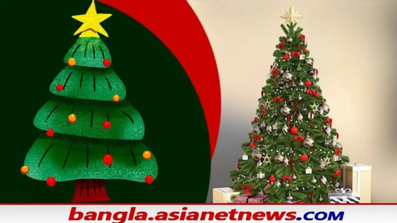 Christmas 2021: বড়দিন হোক অন্যরকম, নিজে হাতে বানান ক্রিসমাস ট্রি, জেনে নিন কীভাবে বানাবেন