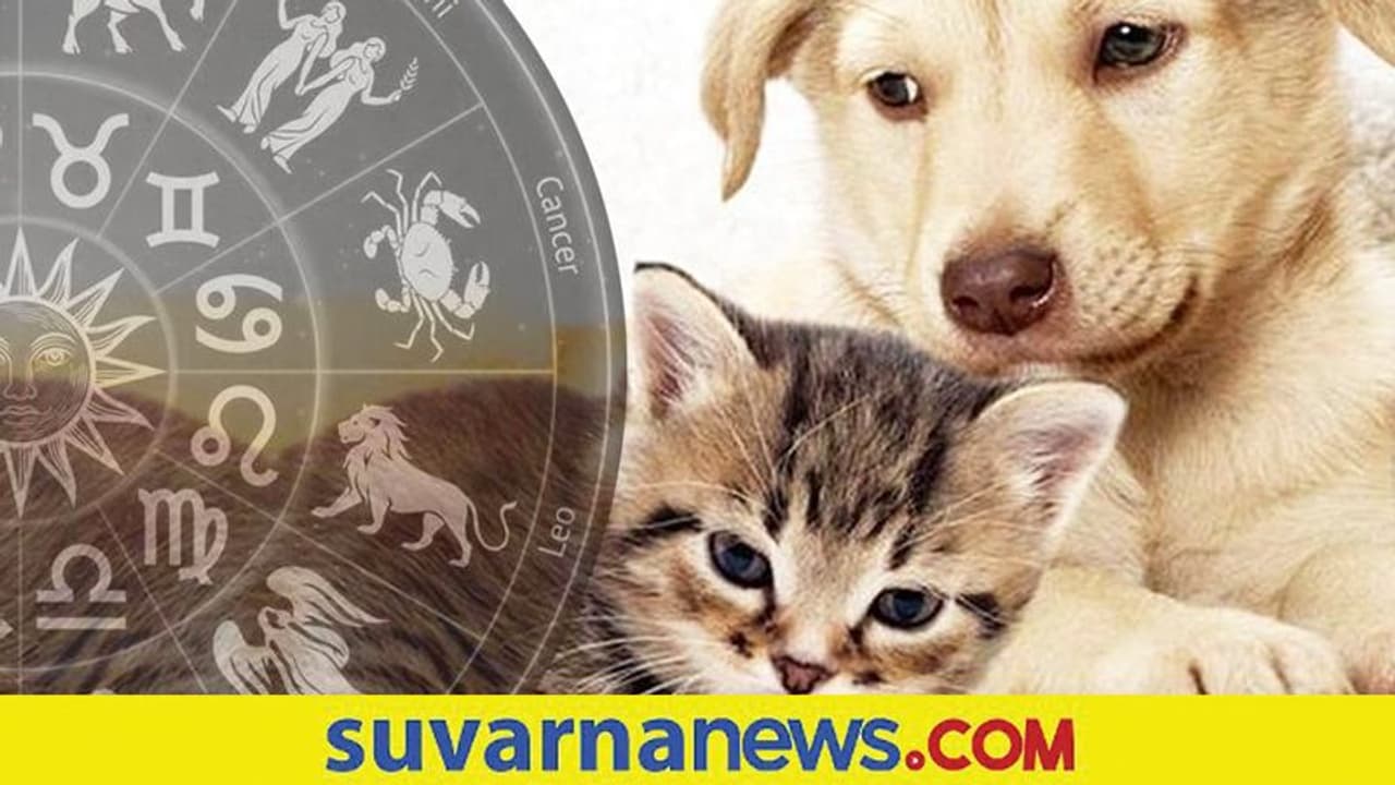 Pet adoption: ನಿಮ್ಮ ರಾಶಿಗೆ ಯಾವ ಪ್ರಾಣಿ ಸಾಕಿದರೆ ಒಳ್ಳೇದು ನೋಡಿ..