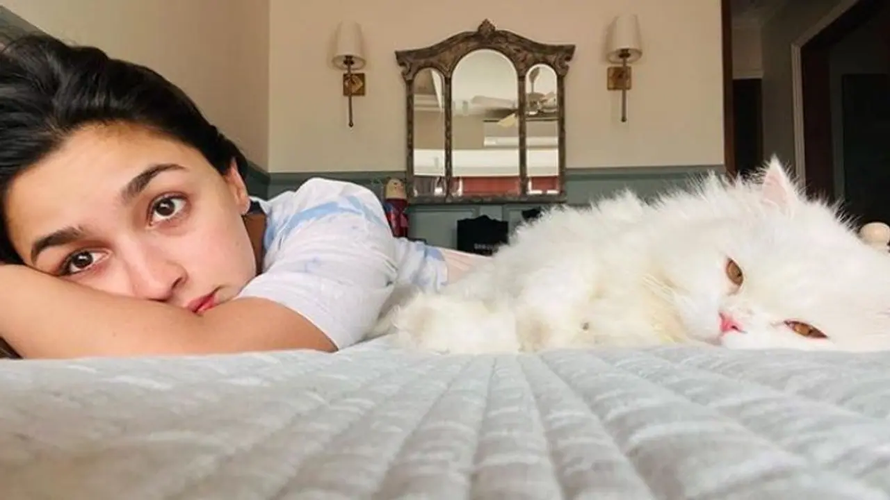 Alia Bhatt : এটাই আলিয়া ভাটের আসল চেহারা, নিজেই খোলসা করে দিলেন রণবীরের হবু বউ Alia Bhatt : এটাই আলিয়া ভাটের আসল চেহারা, নিজেই খোলসা করে দিলেন রণবীরের হবু বউ