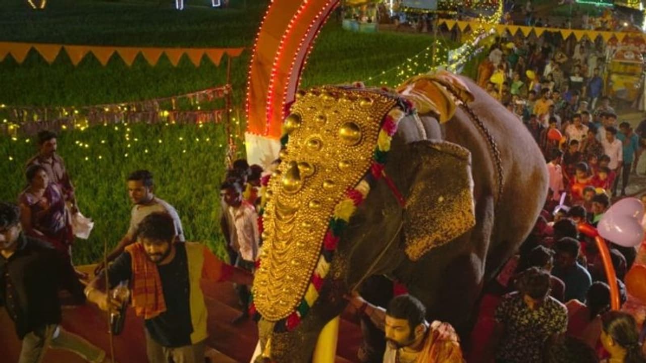 Ajagajantharam video song : ഉത്സവത്തിന് തിരിതെളിയിക്കാൻ അജഗജാന്തരം ; ആവേശമായി പൂരപ്പാട്ട് Ajagajantharam video song : ഉത്സവത്തിന് തിരിതെളിയിക്കാൻ അജഗജാന്തരം ; ആവേശമായി പൂരപ്പാട്ട്