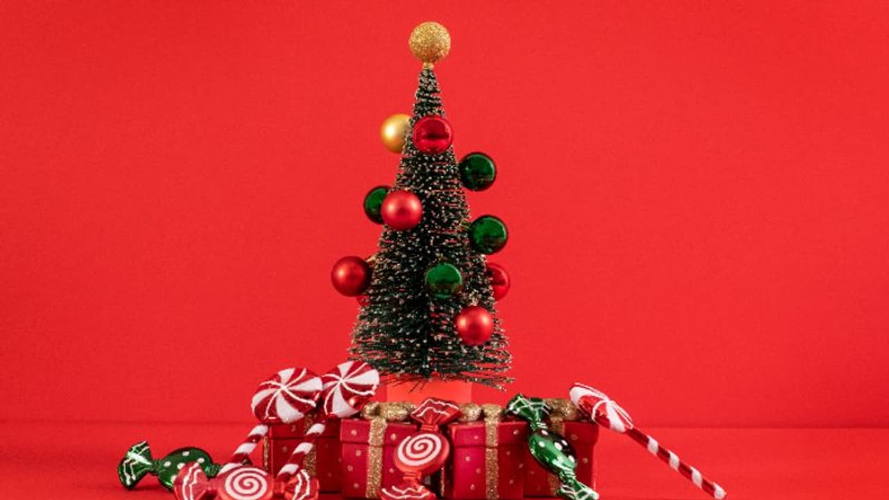 History Of Christmas Tree: বড়দিনে কেন সাজানো হয় ক্রিসমাস ট্রি, জেনে নিন এই রীতি এল কোথা থেকে