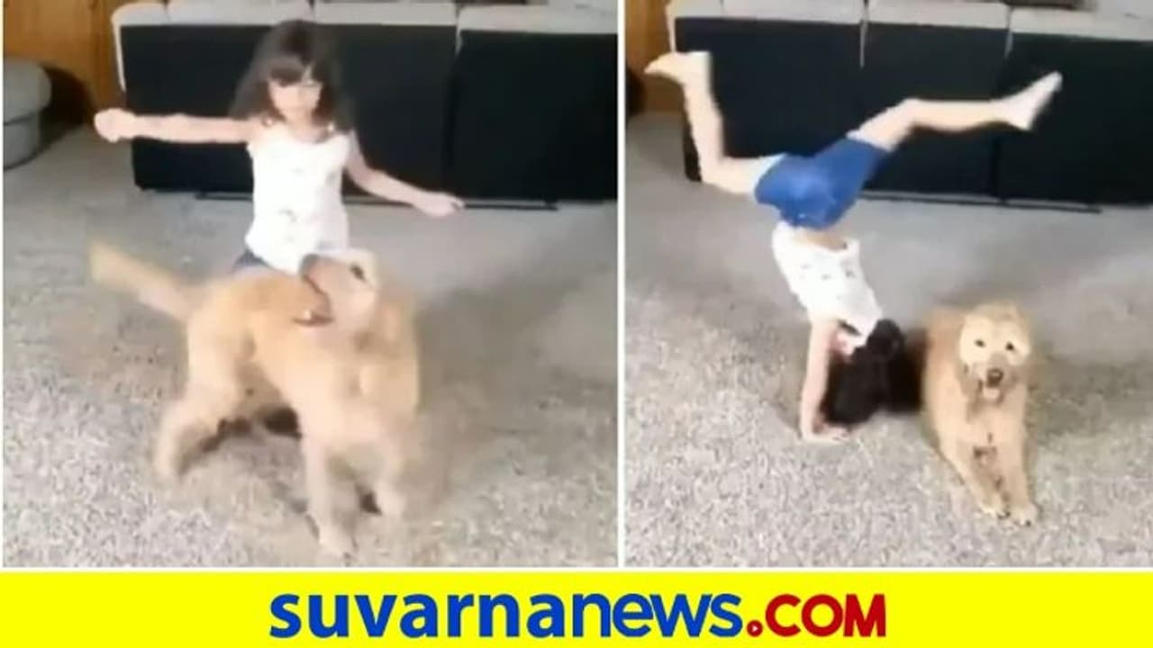 ಪ್ರೀತಿಯ ನಾಯಿಯೊಂದಿಗೆ ಪುಟ್ಟ ಬಾಲಕಿಯ ಸಾಹಸ... ನೋಡಿ viral video