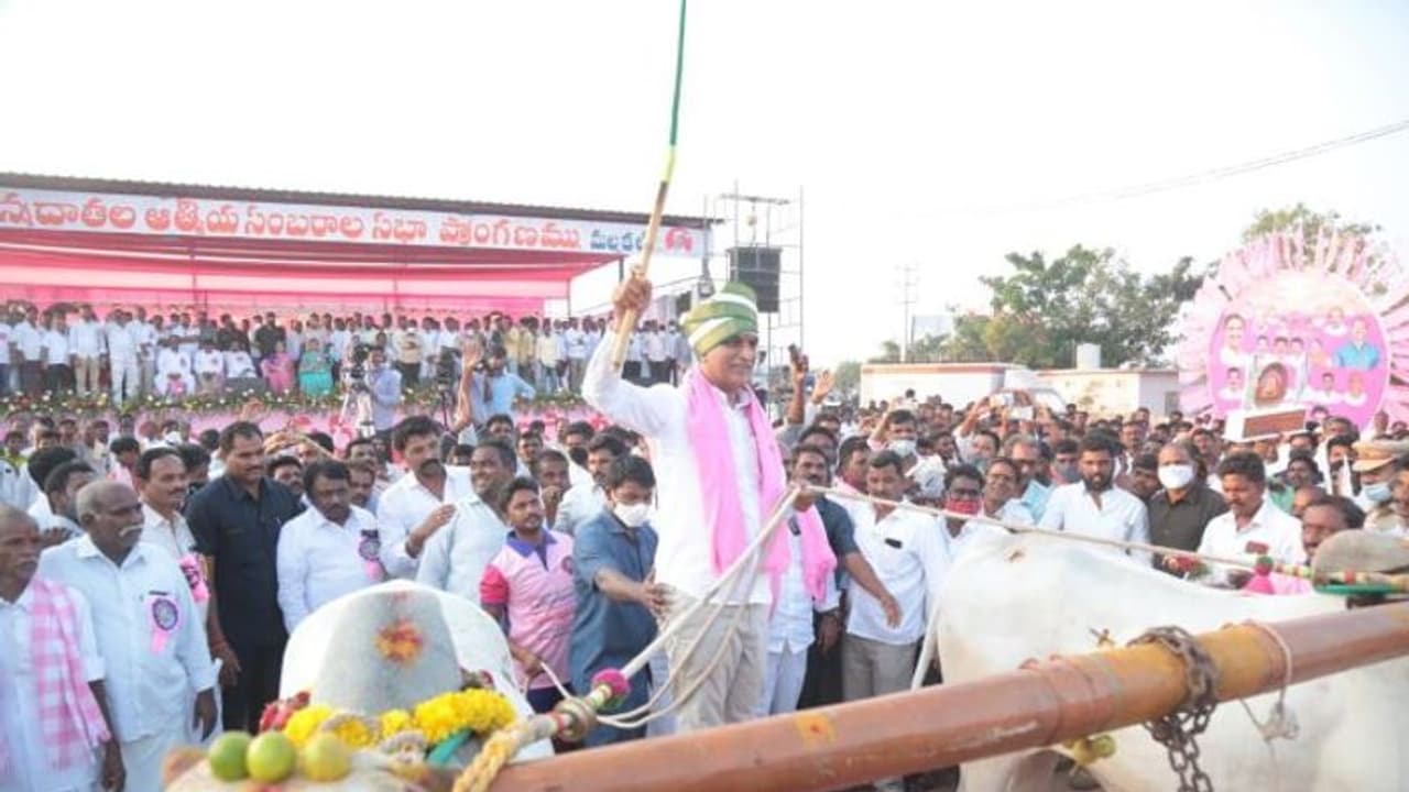 వడ్లు కొనమంటున్న బిజెపి మనకొద్దు...డిల్లీ గద్దెపై నుండి దించేద్దాం..: హరీష్ రావు వడ్లు కొనమంటున్న బిజెపి మనకొద్దు...డిల్లీ గద్దెపై నుండి దించేద్దాం..: హరీష్ రావు