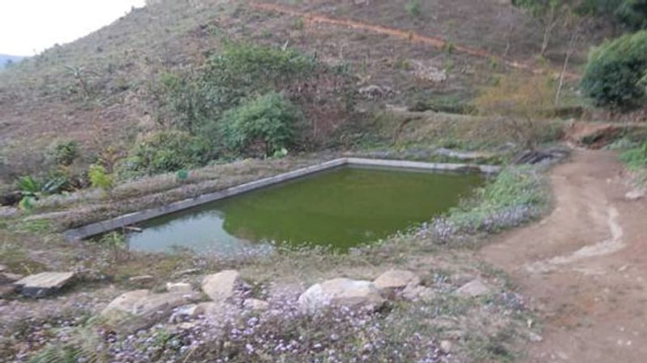 बागवानी के जरिये मेघालय में रोजगार देने की अनूठी पहल, जानिए कैसे होगा बदलाव बागवानी के जरिये मेघालय में रोजगार देने की अनूठी पहल, जानिए कैसे होगा बदलाव