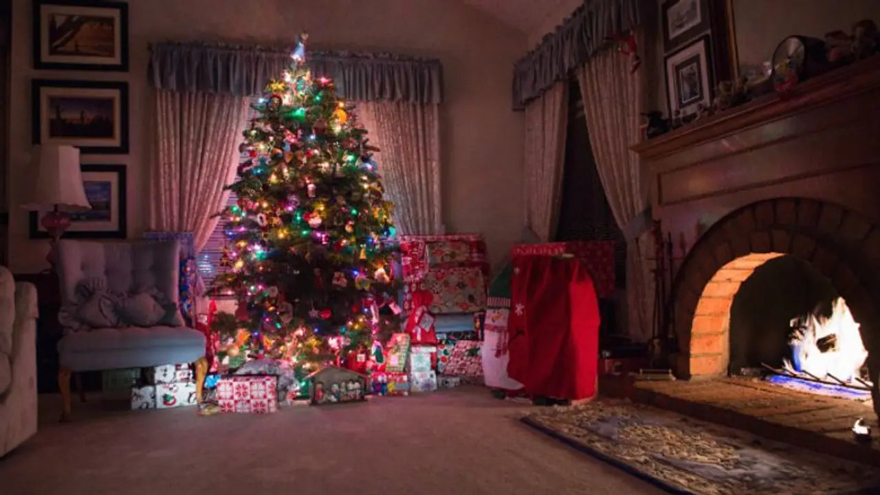 এই রাশিগুলির জন্য Christmas tree খুব Lucky, জেনে নিন বাস্তু মতে এর কারণ এই রাশিগুলির জন্য Christmas tree খুব Lucky, জেনে নিন বাস্তু মতে এর কারণ