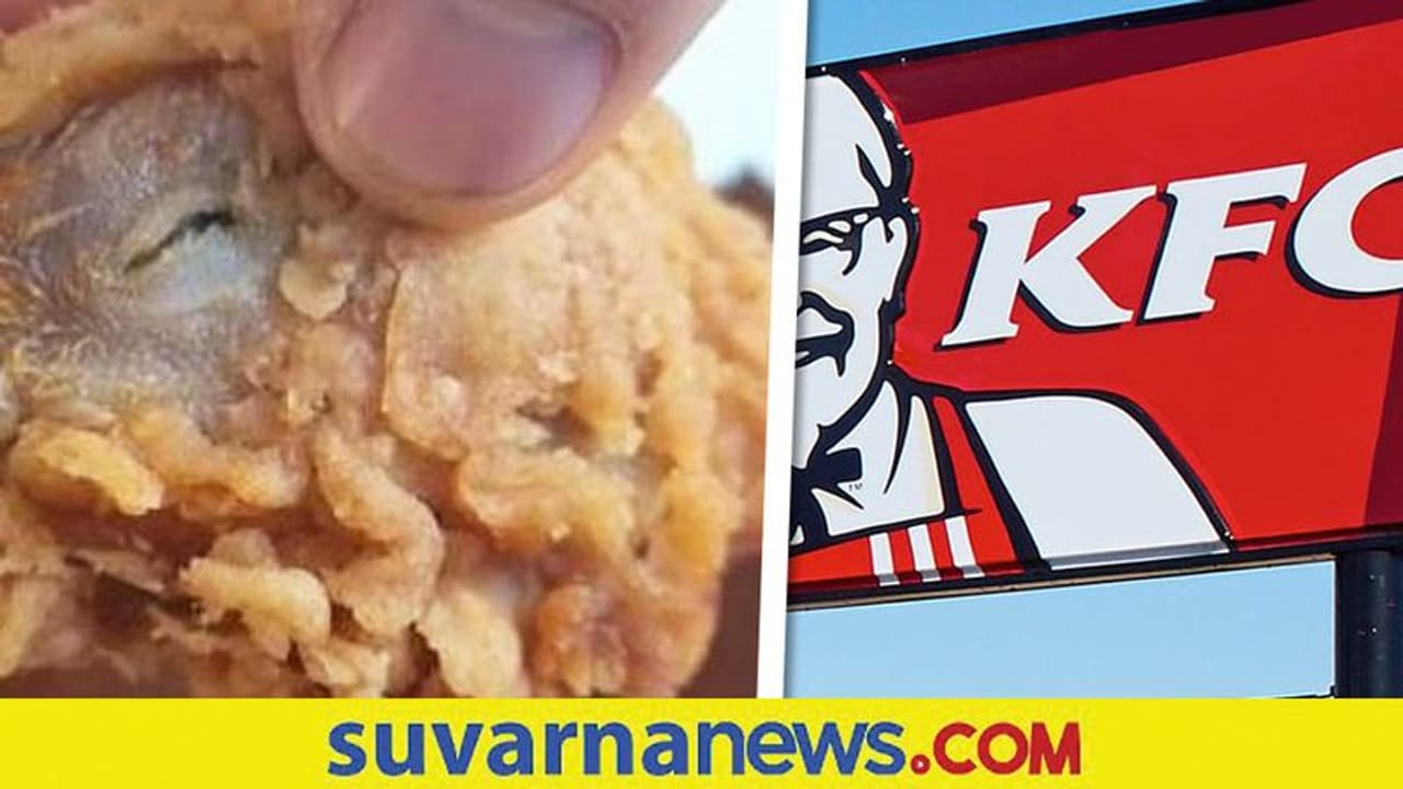 KFC Chicken: ಕೆಎಫ್ಸಿ ಚಿಕನ್ನಲ್ಲಿ ಸಿಕ್ತು ಕೋಳಿಯ ಇಡೀ ತಲೆ KFC Chicken: ಕೆಎಫ್ಸಿ ಚಿಕನ್ನಲ್ಲಿ ಸಿಕ್ತು ಕೋಳಿಯ ಇಡೀ ತಲೆ