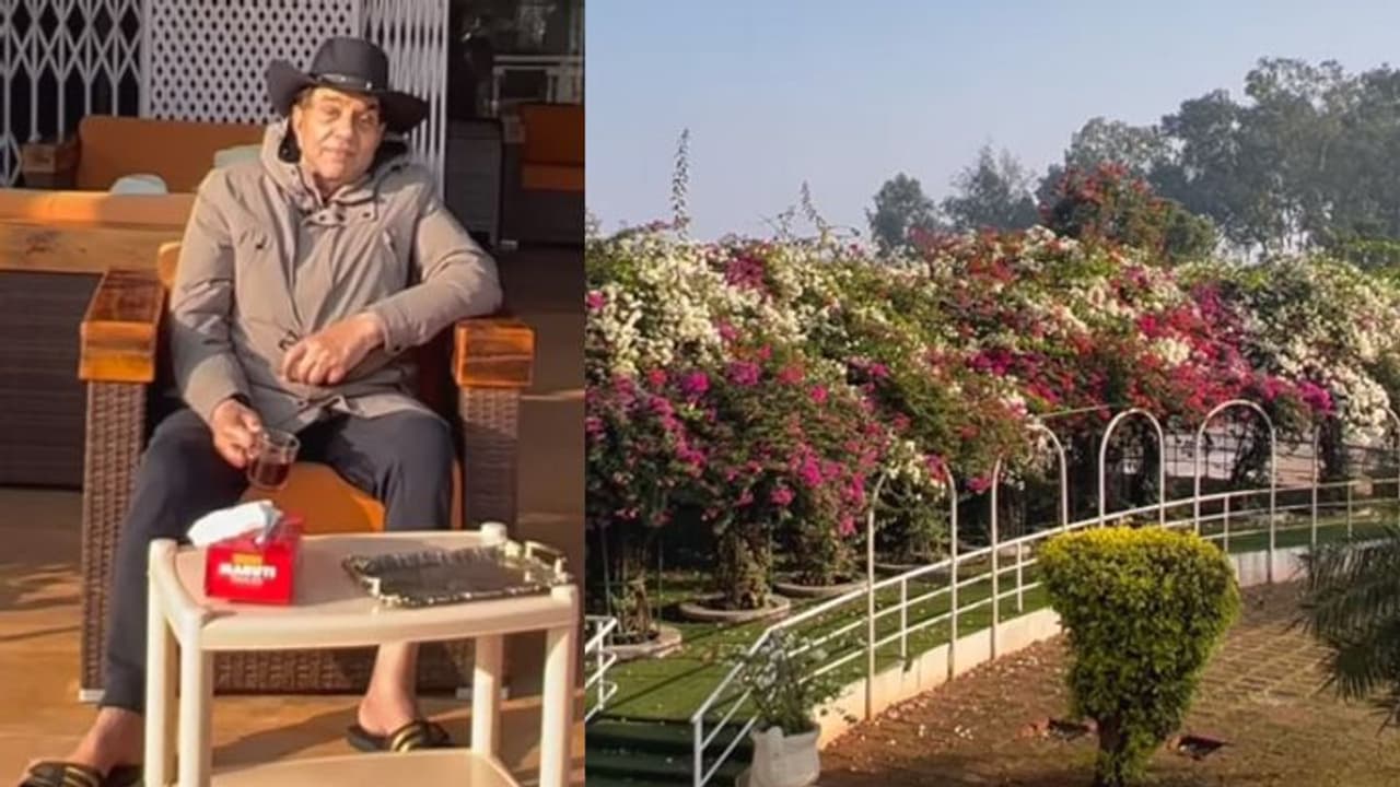 लंबे अरसे बाद अपने फॉर्महाउस पहुंचे Dharmendra, बताया कहां थे इतने दिन, इस बात को लेकर जताई चिंता लंबे अरसे बाद अपने फॉर्महाउस पहुंचे Dharmendra, बताया कहां थे इतने दिन, इस बात को लेकर जताई चिंता