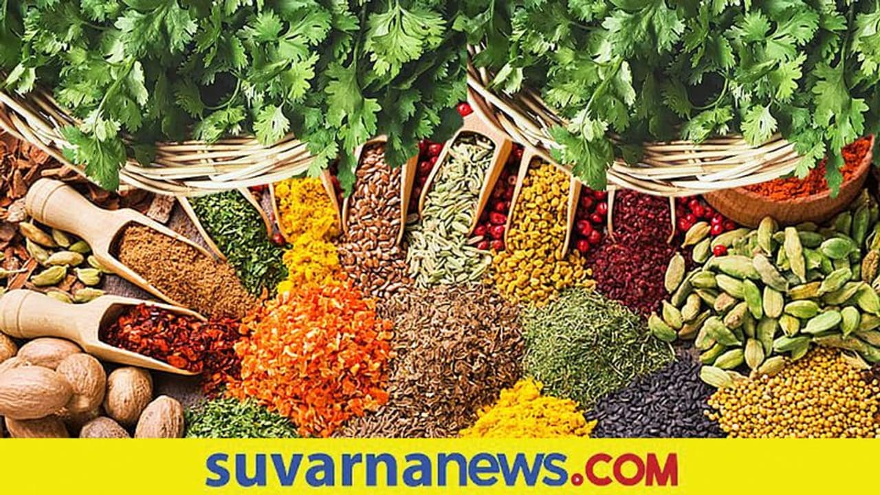 Cumin Coriander Price High: ಕಡಿಮೆ ಉತ್ಪಾದನೆ, ಅಧಿಕ ಬೇಡಿಕೆ; ಕೊತ್ತಂಬರಿ, ಜೀರಿಗೆ ಬೆಲೆ ಇನ್ನಷ್ಟು ಏರಿಕೆಯಾಗೋ ಸಾಧ್ಯತೆ