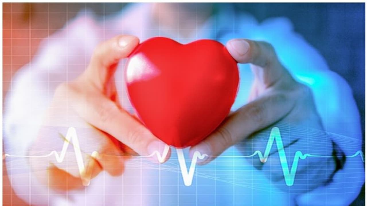 Heart Health : വായു മലിനീകരണം ഹൃദയാരോഗ്യത്തെ ബാധിക്കുമോ? ഡോക്ടർ പറയുന്നു Heart Health : വായു മലിനീകരണം ഹൃദയാരോഗ്യത്തെ ബാധിക്കുമോ? ഡോക്ടർ പറയുന്നു