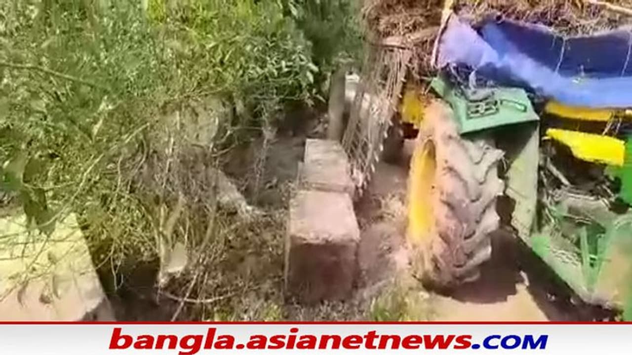 Road Accident in WB: খড় বোঝাই ট্রাক্টারের ধাক্কা স্কুলের প্রাচীরে, ঘটনাস্থলেই মৃত্যু চালক খালাসির Road Accident in WB: খড় বোঝাই ট্রাক্টারের ধাক্কা স্কুলের প্রাচীরে, ঘটনাস্থলেই মৃত্যু চালক খালাসির