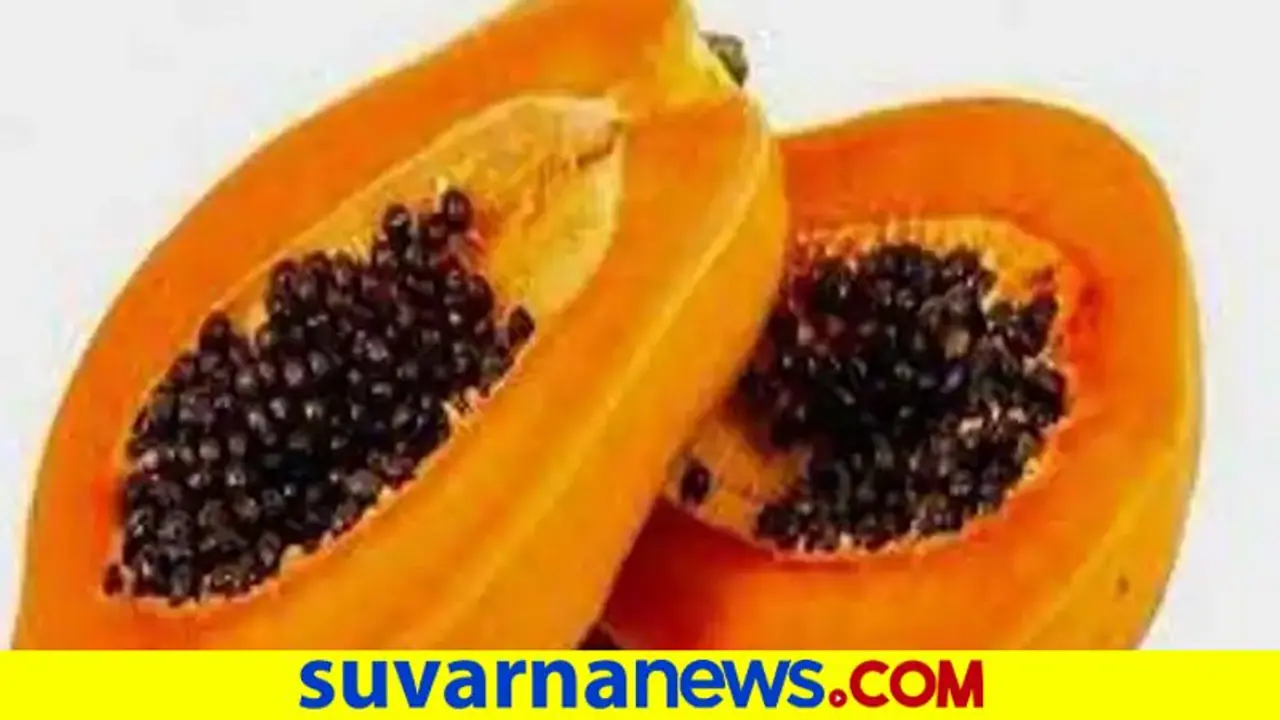 Health Tips: ಪಪ್ಪಾಯಿ ತಿಂದ್ರೆ ಚಳಿಗಾಲದಲ್ಲಿ ಕೆಮ್ಮು, ವಾತದ ಕಾಟ ಇರಲ್ಲ Health Tips: ಪಪ್ಪಾಯಿ ತಿಂದ್ರೆ ಚಳಿಗಾಲದಲ್ಲಿ ಕೆಮ್ಮು, ವಾತದ ಕಾಟ ಇರಲ್ಲ