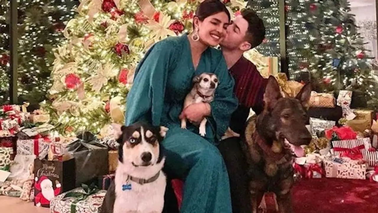 Check out Priyanka Chopra, Nick Jonas' Christmas celebration; couple pose with doggos