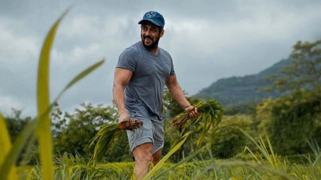 സല്‍മാന്‍ ഖാന് പാമ്പുകടിയേറ്റു; അപകടം പിറന്നാള്‍ ദിനത്തിന് തൊട്ടുമുന്‍പ്