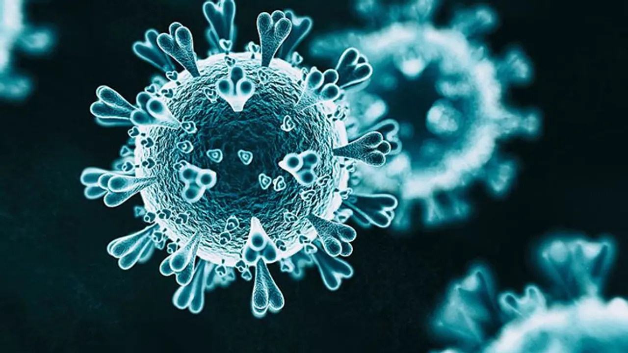 Covid 19 Variant: ಮಹಾರಾಷ್ಟ್ರದಲ್ಲಿ ಒಮಿಕ್ರೋನ್‌ ಸೋಂಕಿತ ಸಾವು: ದೇಶದಲ್ಲೇ ಮೊದಲು!