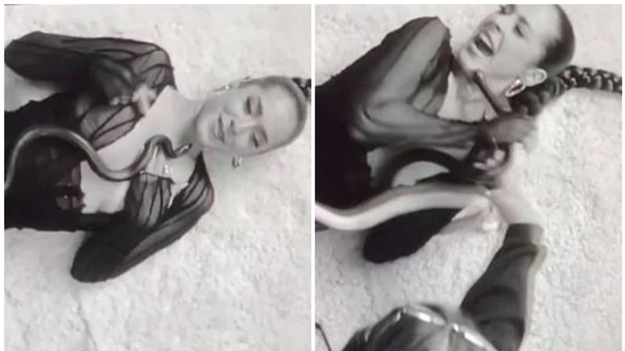 Snake Bite : രണ്ട് പാമ്പുകളും ഇഴഞ്ഞ് മുകളിലോട്ട് വന്നു, കെെ കൊണ്ട് പാമ്പിനെ എടുത്ത് മാറ്റി, പിന്നീട്...