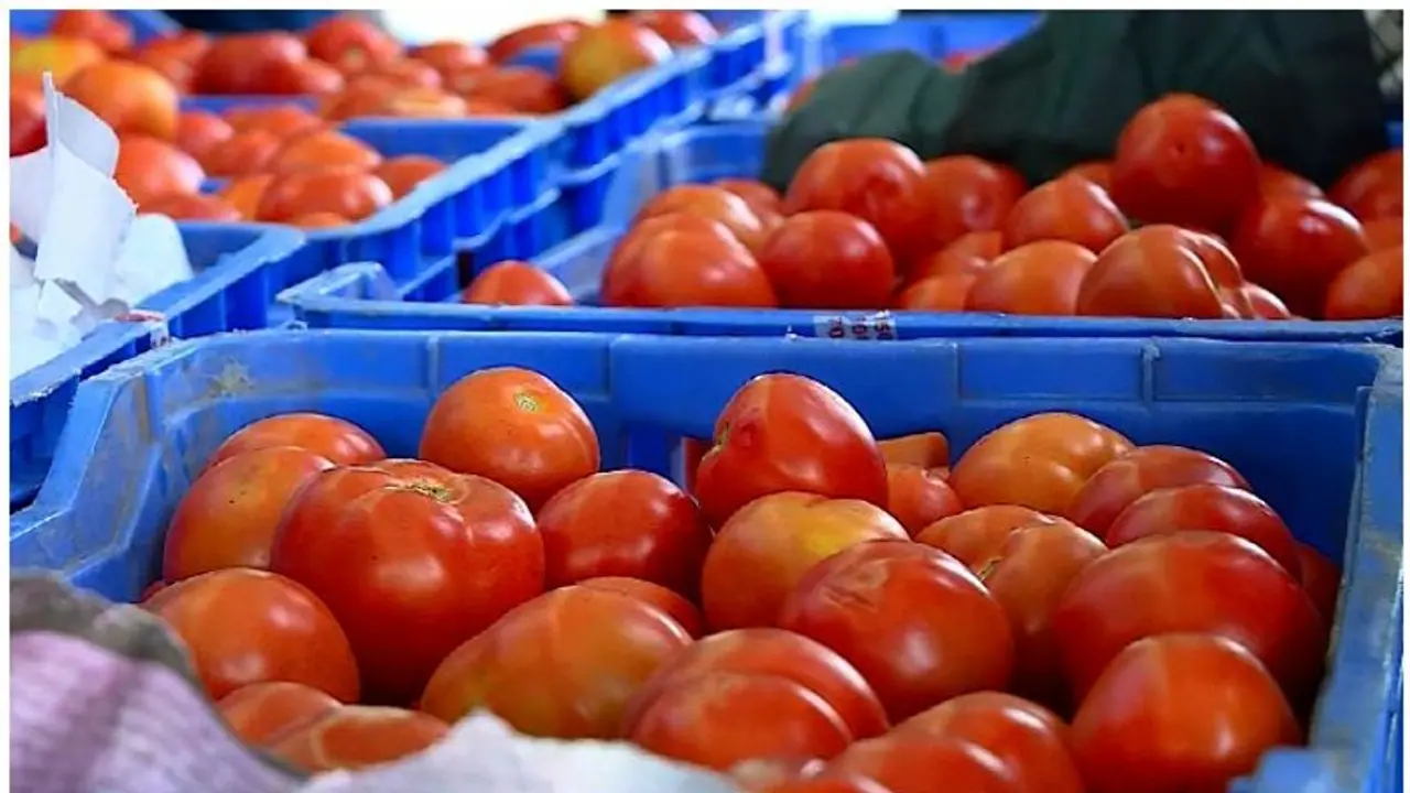 மகிழ்ச்சி செய்தி.. இனி குறைந்த விலையில் தக்காளி.. தமிழக அரசு எடுத்த அதிரடி.. மகிழ்ச்சி செய்தி.. இனி குறைந்த விலையில் தக்காளி.. தமிழக அரசு எடுத்த அதிரடி..