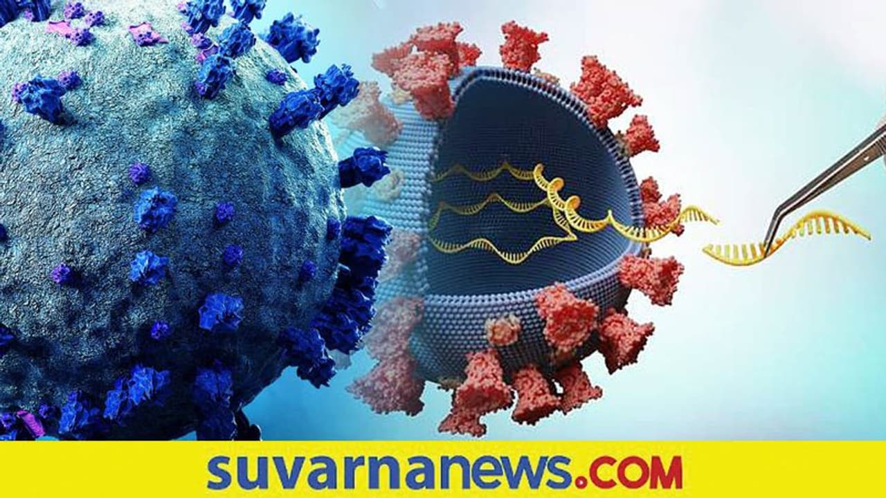 Covid 19 Surge in India : ಕರ್ನಾಟಕ ಸೇರಿದಂತೆ 8 ರಾಜ್ಯಗಳಿಗೆ ಕೇಂದ್ರದ ವಾರ್ನಿಂಗ್!