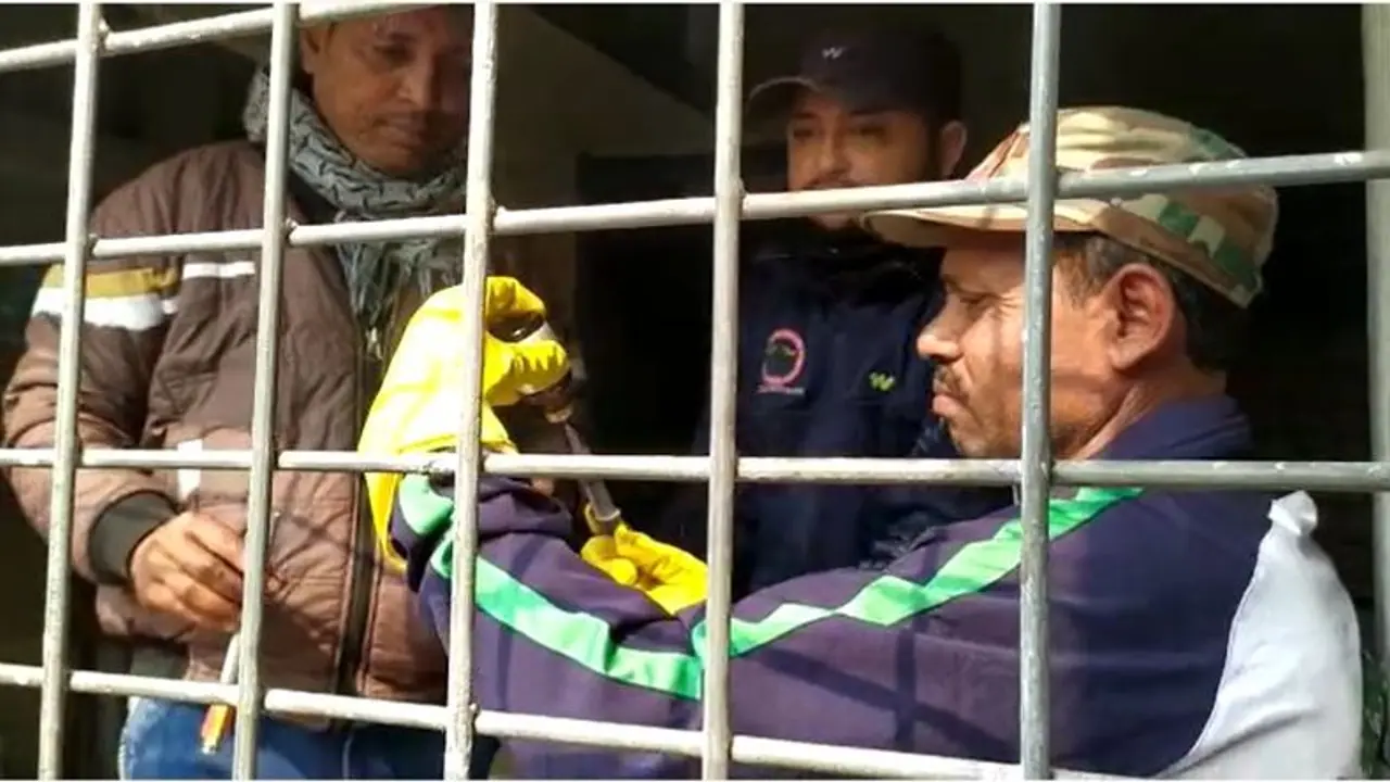 Royal Bengal Tiger: ৫ দিন পরও অধরা, ঘুম পাড়ানি গুলি করে বাঘ ধরার প্রস্তুতি শুরু কুলতলিতে Royal Bengal Tiger: ৫ দিন পরও অধরা, ঘুম পাড়ানি গুলি করে বাঘ ধরার প্রস্তুতি শুরু কুলতলিতে