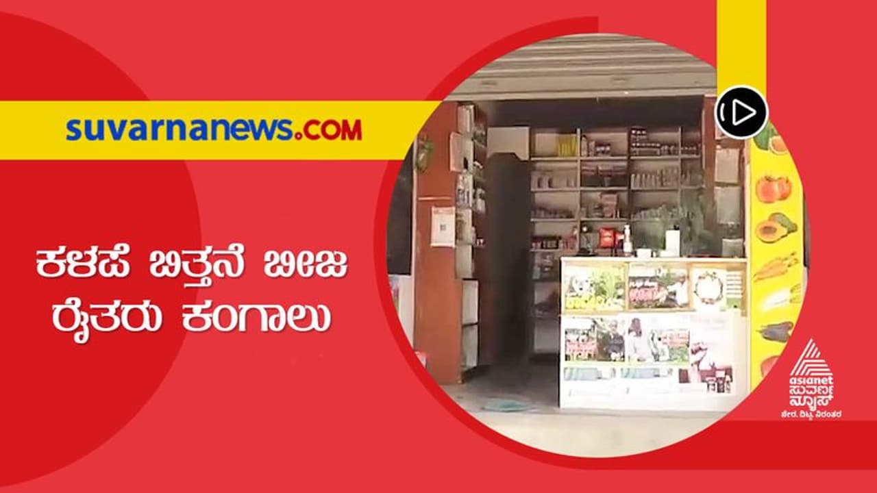 Mandya: ಭತ್ತದ ಫಸಲು ಶೇ.90 ರಷ್ಟು ಜೊಳ್ಳು, ಖಾಸಗಿ ಕಂಪನಿಯಿಂದ ಕಳಪೆ ಬಿತ್ತನೆ ಬೀಜ ಮಾರಾಟ? Mandya: ಭತ್ತದ ಫಸಲು ಶೇ.90 ರಷ್ಟು ಜೊಳ್ಳು, ಖಾಸಗಿ ಕಂಪನಿಯಿಂದ ಕಳಪೆ ಬಿತ್ತನೆ ಬೀಜ ಮಾರಾಟ?