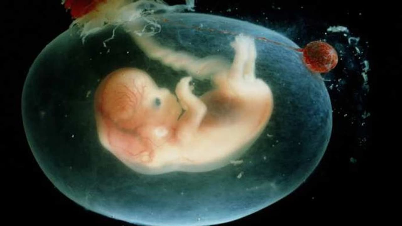 ಕಾನೂನುಬಾಹಿರವಾಗಿ ಹೆಣ್ಣು ಭ್ರೂಣಲಿಂಗ ಪತ್ತೆ: ಯಶ್ ಹಾಸ್ಪಿಟಲ್ಗೆ ನೋಟಿಸ್ ಕಾನೂನುಬಾಹಿರವಾಗಿ ಹೆಣ್ಣು ಭ್ರೂಣಲಿಂಗ ಪತ್ತೆ: ಯಶ್ ಹಾಸ್ಪಿಟಲ್ಗೆ ನೋಟಿಸ್