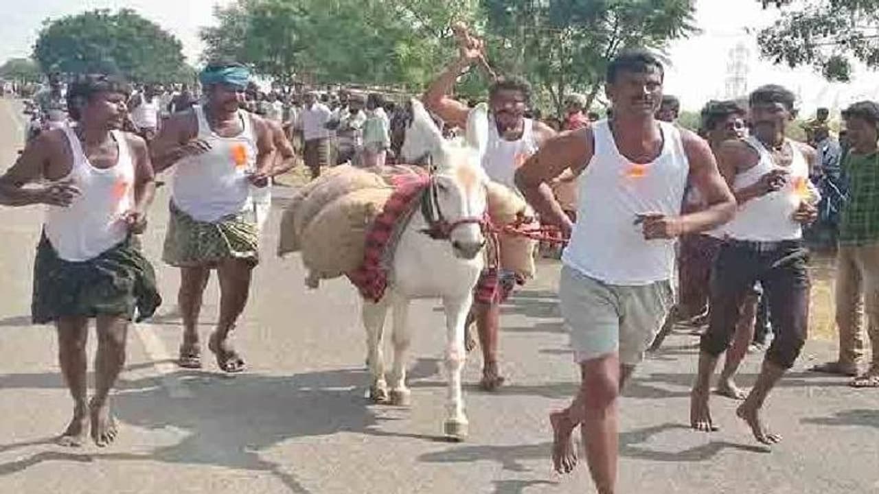 ಹೋಳಿಯಂದು ಈ ಊರಲ್ಲಿ ಕತ್ತೆಯ ಬೆನ್ನೇರಲೇಬೇಕು ಹೊಸ ಅಳಿಯ ಹೋಳಿಯಂದು ಈ ಊರಲ್ಲಿ ಕತ್ತೆಯ ಬೆನ್ನೇರಲೇಬೇಕು ಹೊಸ ಅಳಿಯ