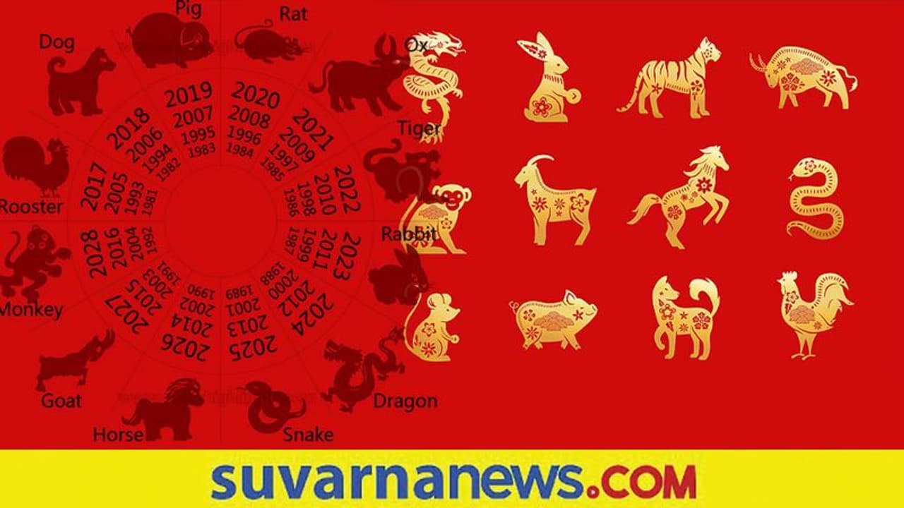 Chinese Tiger year: ಚೈನೀಸ್ ಹುಲಿ ವರ್ಷದ ಭವಿಷ್ಯ, 2022 ನಿಮಗೇನು ತರಲಿದೆ? Chinese Tiger year: ಚೈನೀಸ್ ಹುಲಿ ವರ್ಷದ ಭವಿಷ್ಯ, 2022 ನಿಮಗೇನು ತರಲಿದೆ?