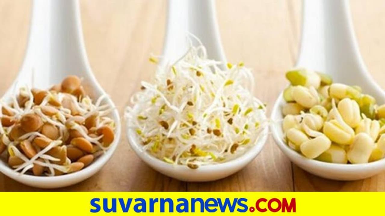 Protein Rich Food: ಆಹಾರದಲ್ಲಿ ಧಾನ್ಯಗಳ ಬಳಕೆ ಹೇಗಿರಬೇಕು..? ಯಾವ ಬೇಳೆ ಆರೋಗ್ಯಕ್ಕೆ ಉತ್ತಮ Protein Rich Food: ಆಹಾರದಲ್ಲಿ ಧಾನ್ಯಗಳ ಬಳಕೆ ಹೇಗಿರಬೇಕು..? ಯಾವ ಬೇಳೆ ಆರೋಗ್ಯಕ್ಕೆ ಉತ್ತಮ