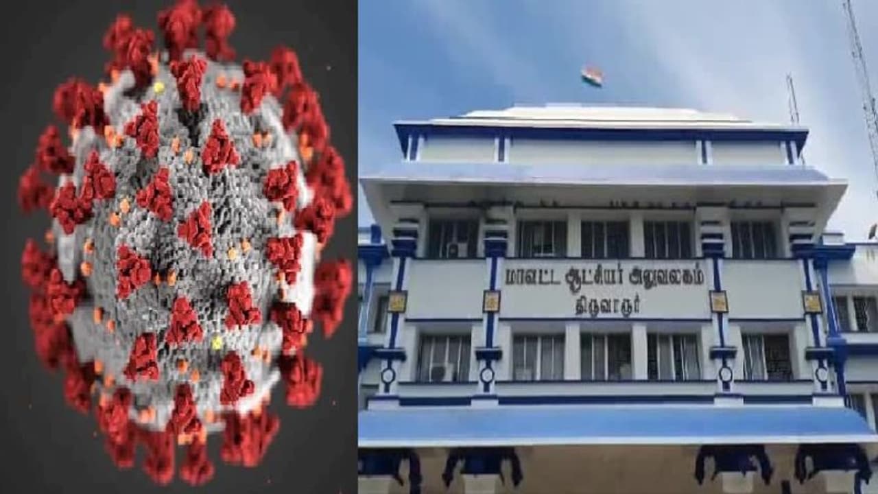 ஆட்சியர் அலுவலகத்தில் அடுத்தடுத்து 8 பேருக்கு கொரோனா... அதிர்ச்சியில் அலுவலர்கள்... திருவாரூரில் பரபரப்பு!! ஆட்சியர் அலுவலகத்தில் அடுத்தடுத்து 8 பேருக்கு கொரோனா... அதிர்ச்சியில் அலுவலர்கள்... திருவாரூரில் பரபரப்பு!!
