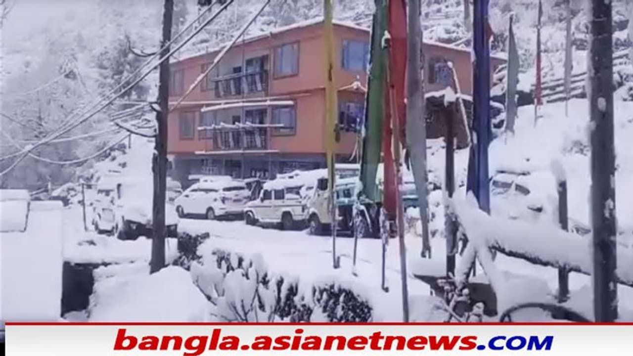 Snowfall in Gangtok: বরফে ঢাকা পড়ল টাইগার হিল, গ্যাংটকের পারাপতন ভাঙল সাড়ে ৩ দশকের রেকর্ড